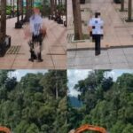 Ironi Kayu Toreng Tanimbar: Dibabat untuk Kemegahan Hotel Malaysia, Operasional HPH Diduga Dibekingi Pasokan BBM Oknum APH Screenshot_2026-08-27-14-44-50-26_7352322957d4404136654ef4adb64504