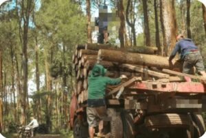 IMG-20260906-WA0020