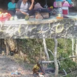 Dinilai Tak Punya Rasa Peduli Tempat Suci, Tukang Sensor Pohon di Lauran Patok Ongkos Mahal di Lokasi Lourdes IMG_20260914_174543_707