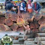 Susul Aksi di Saumlaki, Forum Save Hutan Yamdena Tancap Sweri Adat di Lokpon Kayu PT KJB IMG-20261002-WA0016