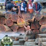 Susul Aksi di Saumlaki, Forum Save Hutan Yamdena Tancap Sweri Adat di Lokpon Kayu PT KJB Screenshot_2026-10-02-10-41-09-91_7352322957d4404136654ef4adb64504